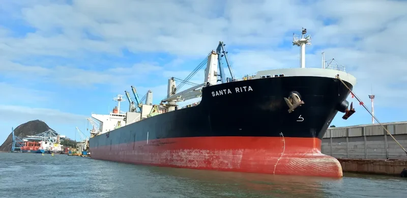 SANTA RITA Bulk Carrier IMO 9478999 photo 8