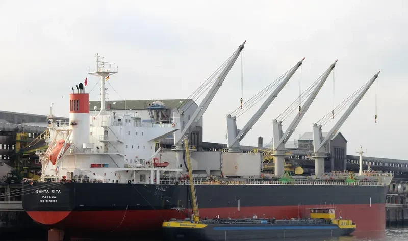 SANTA RITA Bulk Carrier IMO 9478999 photo 10