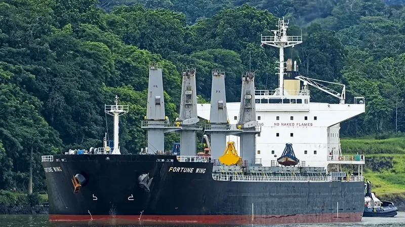 FORTUNE WING Bulk Carrier IMO 9479022 photo 3