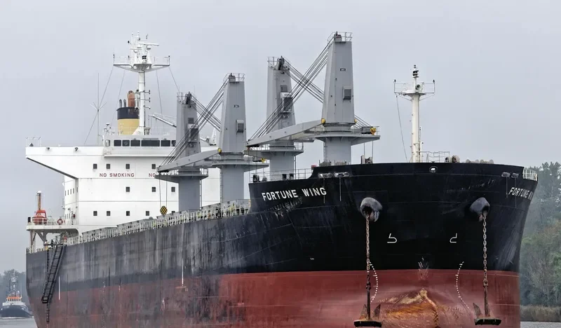 FORTUNE WING Bulk Carrier IMO 9479022 photo 7