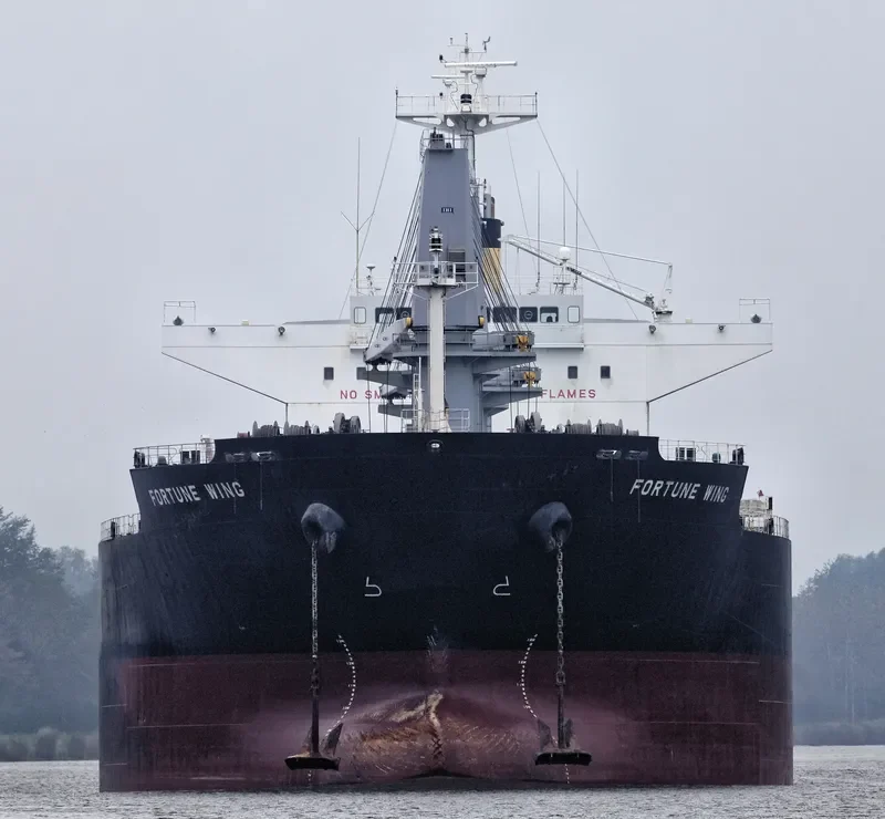 FORTUNE WING Bulk Carrier IMO 9479022 photo 8