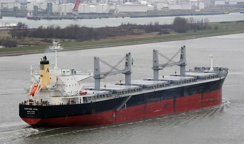 FORTUNE WING Bulk Carrier IMO 9479022 photo 9