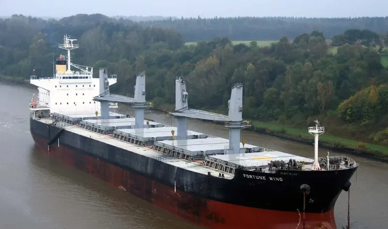 FORTUNE WING Bulk Carrier IMO 9479022 photo 10