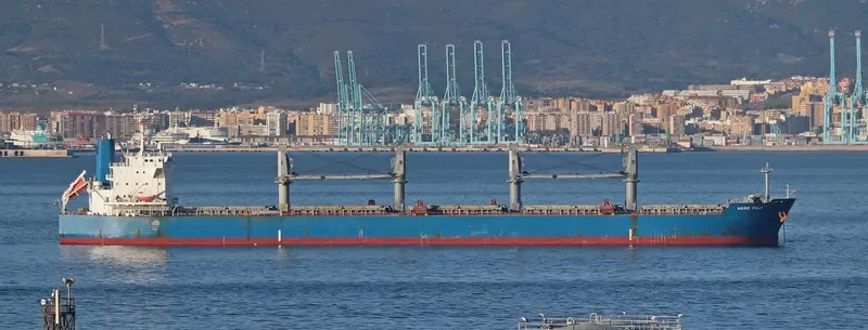 BUMBLEBEE Bulk Carrier IMO 9479046