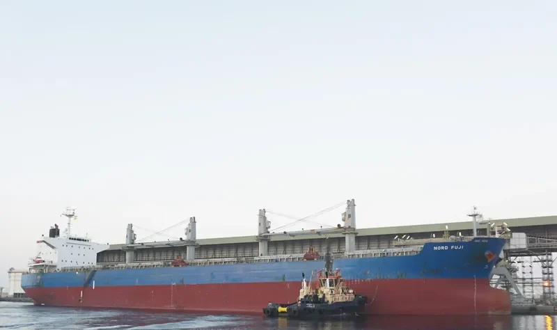BUMBLEBEE Bulk Carrier IMO 9479046 photo 2