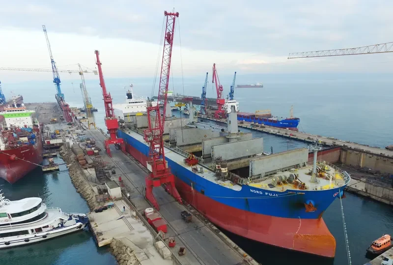BUMBLEBEE Bulk Carrier IMO 9479046 photo 5