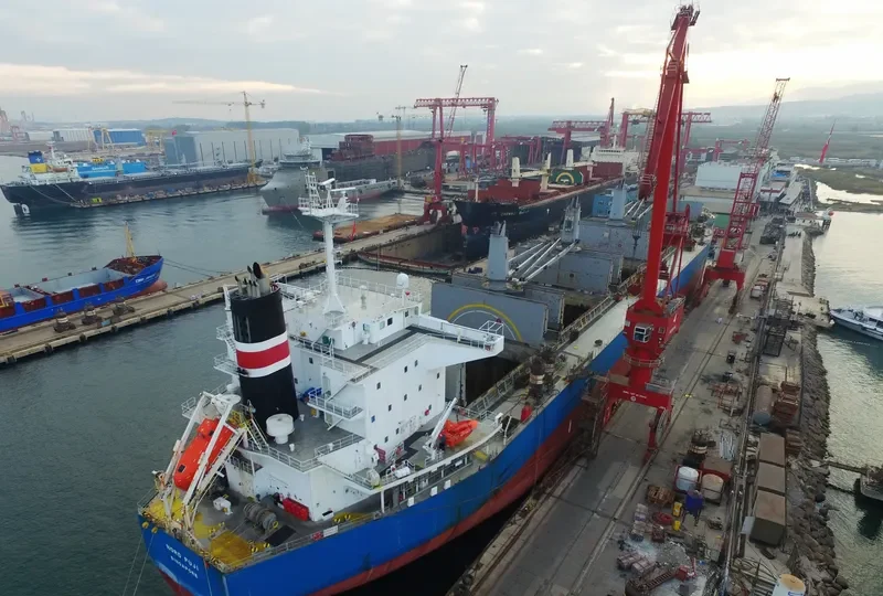 BUMBLEBEE Bulk Carrier IMO 9479046 photo 6