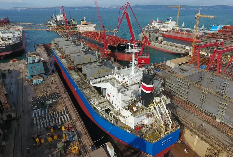 BUMBLEBEE Bulk Carrier IMO 9479046 photo 8