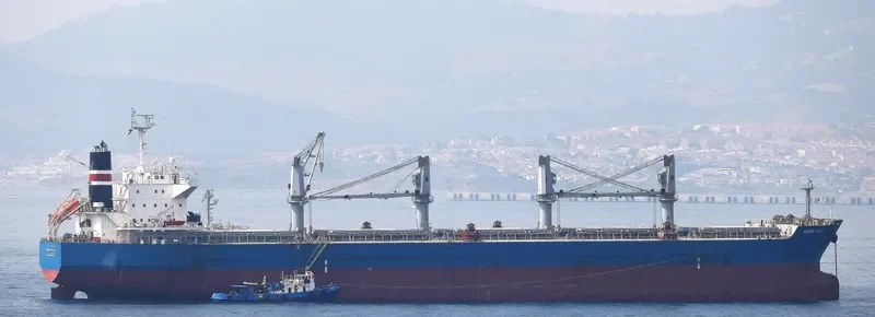 BUMBLEBEE Bulk Carrier IMO 9479046 photo 9