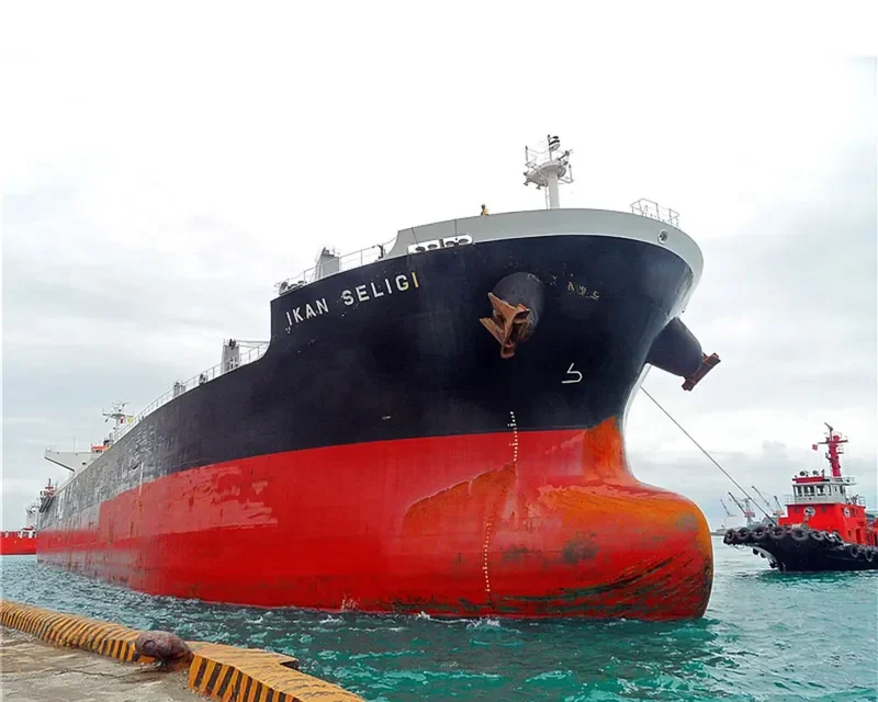 IKAN SELIGI Bulk Carrier IMO 9479058 photo 3