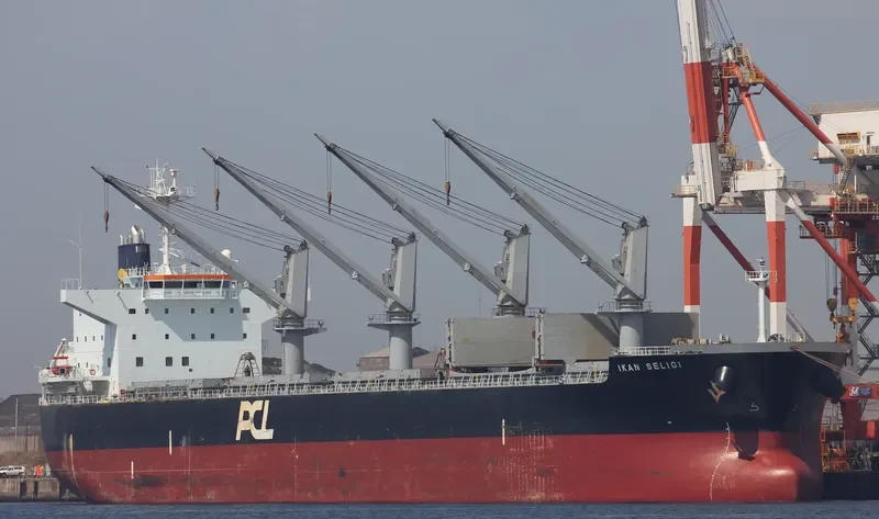 IKAN SELIGI Bulk Carrier IMO 9479058 photo 7