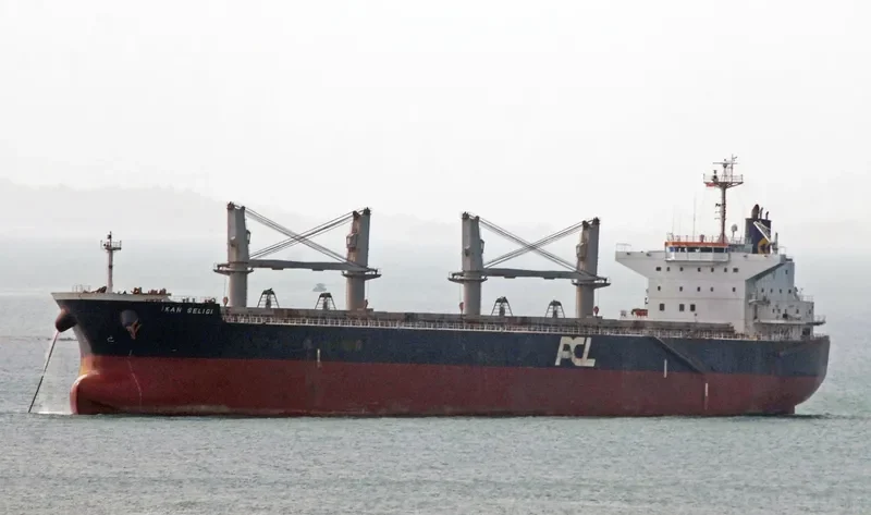 IKAN SELIGI Bulk Carrier IMO 9479058 photo 8