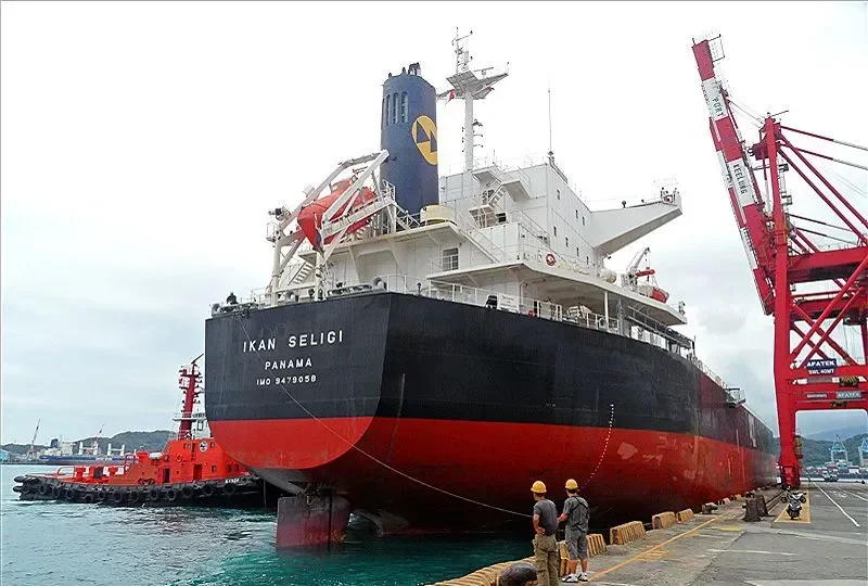 IKAN SELIGI Bulk Carrier IMO 9479058 photo 9