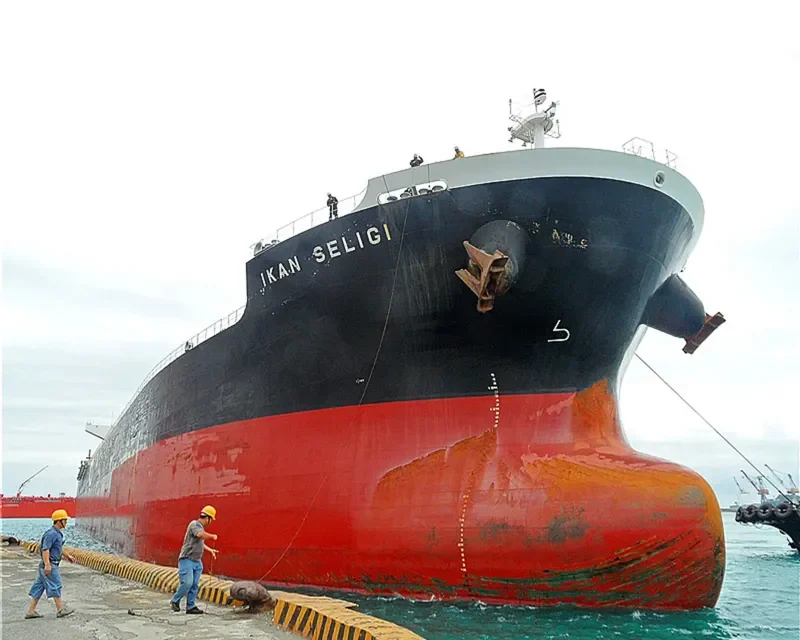 IKAN SELIGI Bulk Carrier IMO 9479058 photo 10