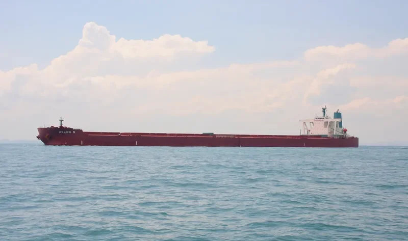 HELEN N Bulk Carrier IMO 9479163 photo 3