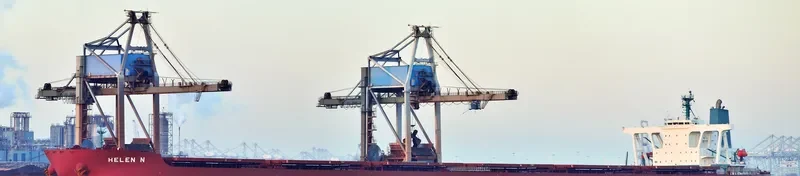 HELEN N Bulk Carrier IMO 9479163 photo 8