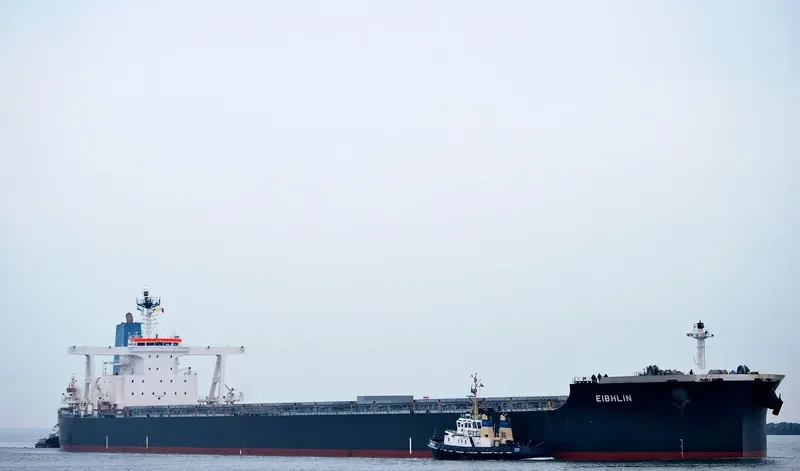 THALASSINI AGATHA Bulk Carrier IMO 9479204 photo 4