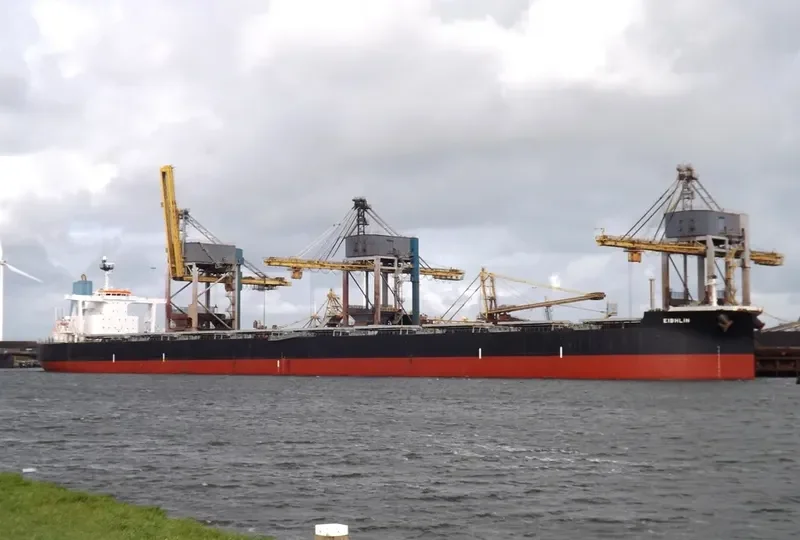 THALASSINI AGATHA Bulk Carrier IMO 9479204 photo 8