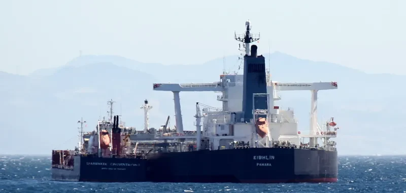 THALASSINI AGATHA Bulk Carrier IMO 9479204 photo 9