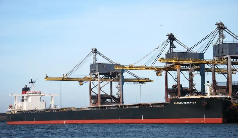 FREEDOM Bulk Carrier IMO 9479216