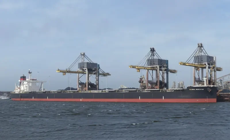 FREEDOM Bulk Carrier IMO 9479216 photo 5