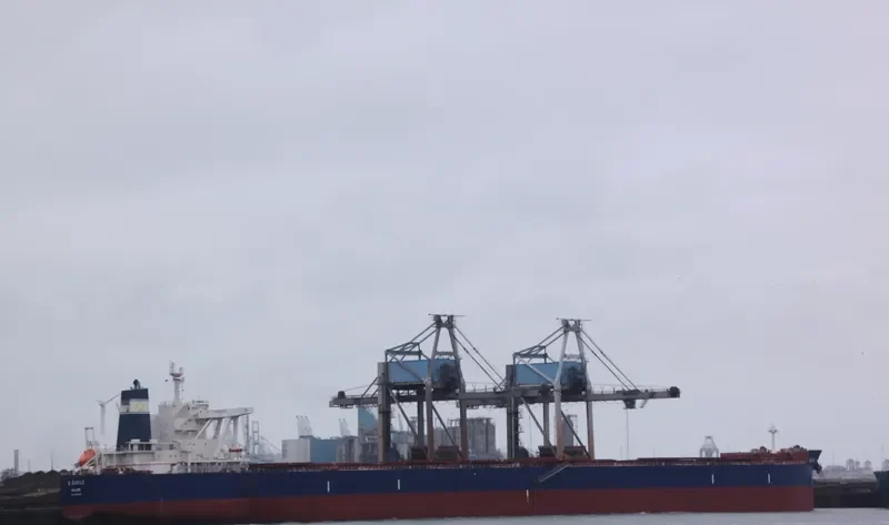 GOLDEN GAYLE Bulk Carrier IMO 9479228