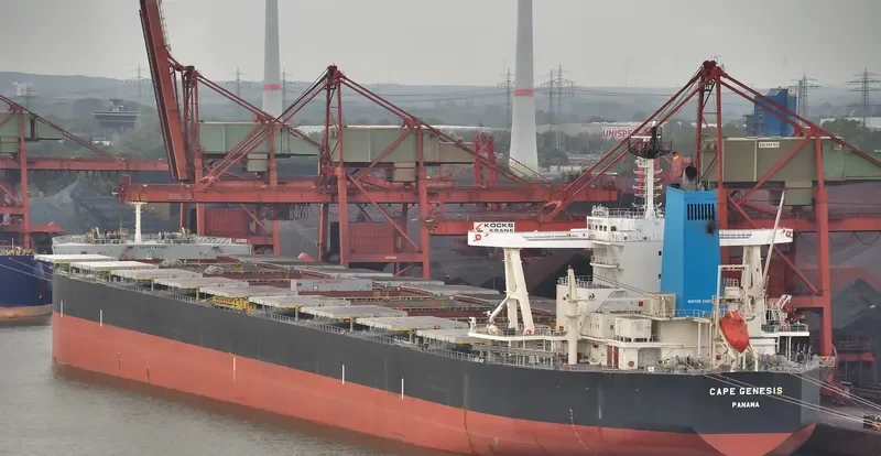 CAPE GENESIS Bulk Carrier IMO 9479307 photo 8