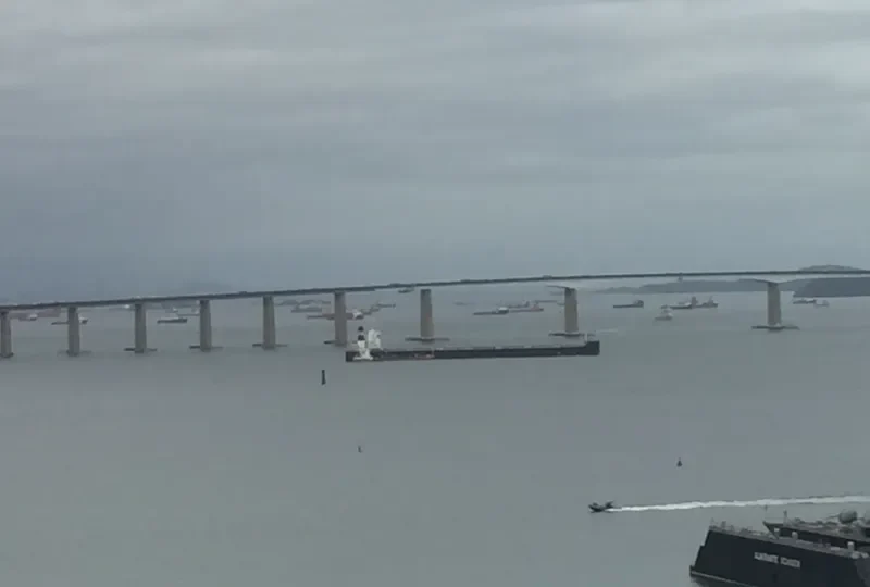 POWER GLOBE Bulk Carrier IMO 9479319