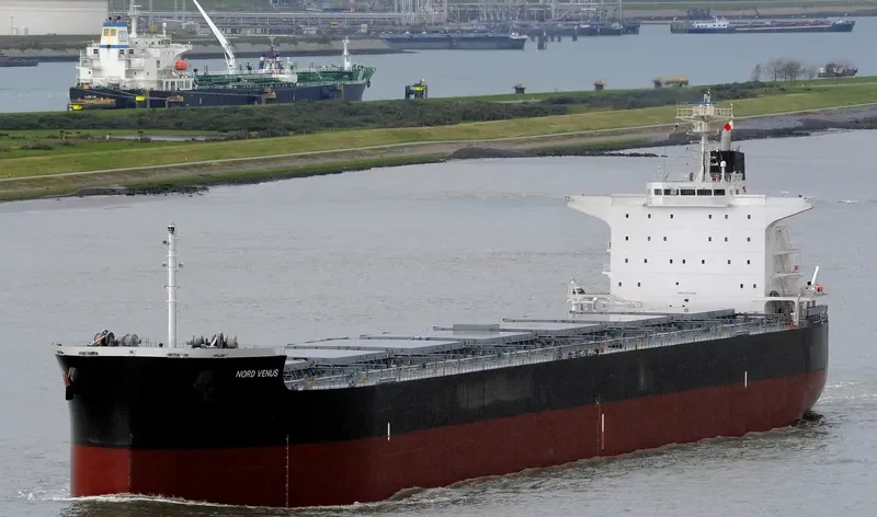 POWER GLOBE Bulk Carrier IMO 9479319 photo 2