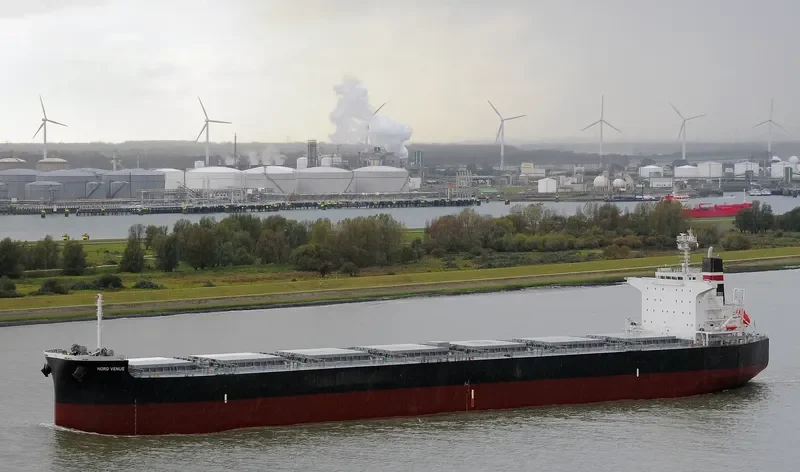 POWER GLOBE Bulk Carrier IMO 9479319 photo 3