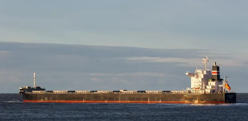 POWER GLOBE Bulk Carrier IMO 9479319 photo 6