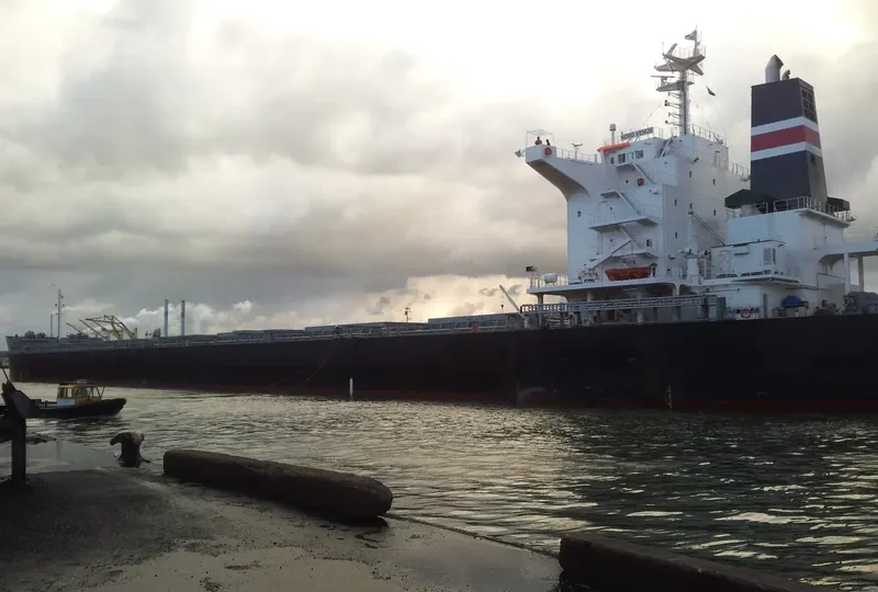POWER GLOBE Bulk Carrier IMO 9479319 photo 7