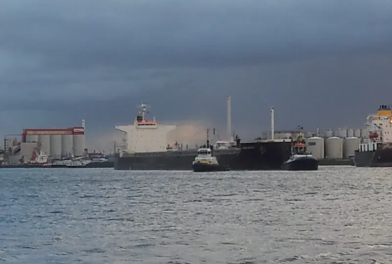 POWER GLOBE Bulk Carrier IMO 9479319 photo 8
