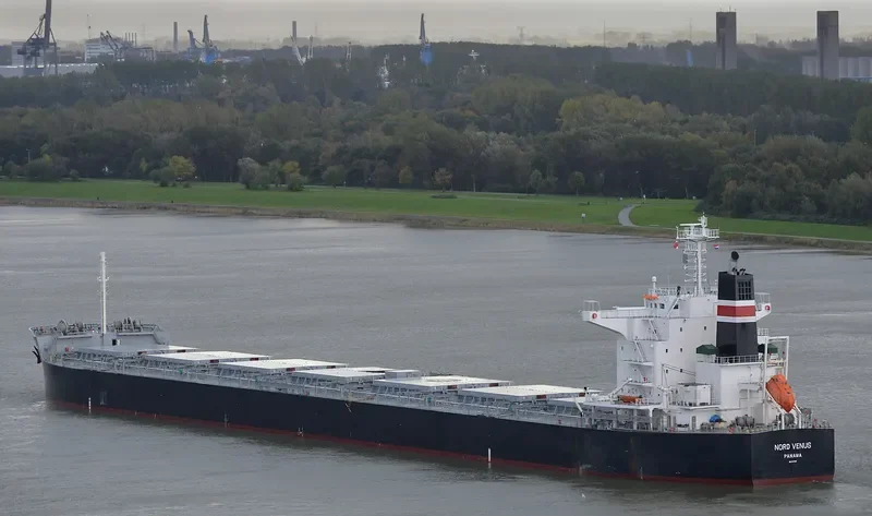 POWER GLOBE Bulk Carrier IMO 9479319 photo 9