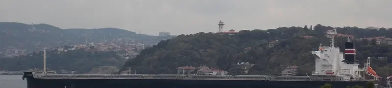 POWER GLOBE Bulk Carrier IMO 9479319 photo 10