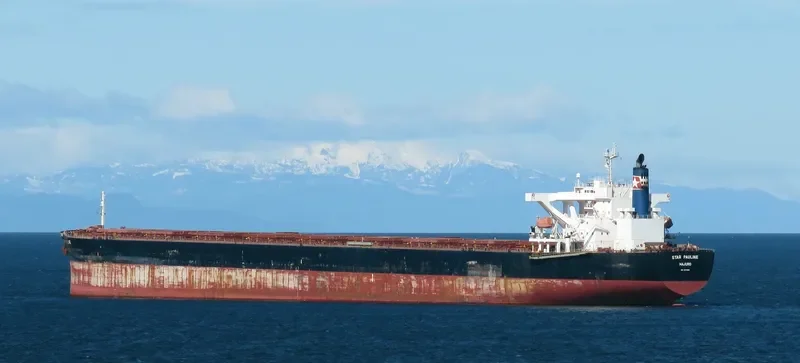 STAR PAULINE Bulk Carrier IMO 9479890 photo 3