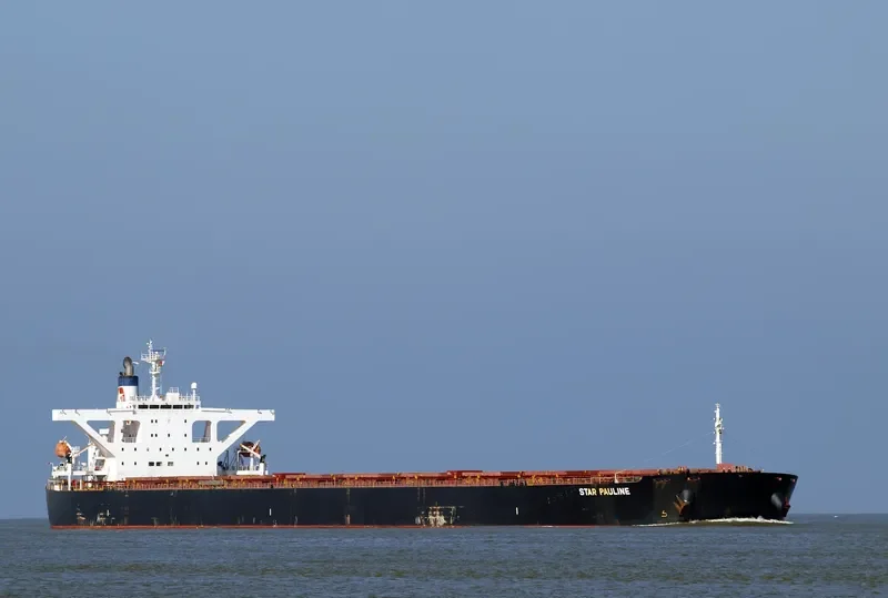 STAR PAULINE Bulk Carrier IMO 9479890 photo 6