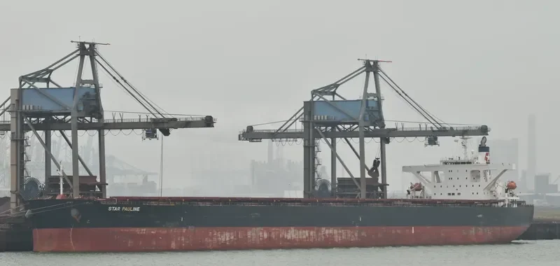 STAR PAULINE Bulk Carrier IMO 9479890 photo 7
