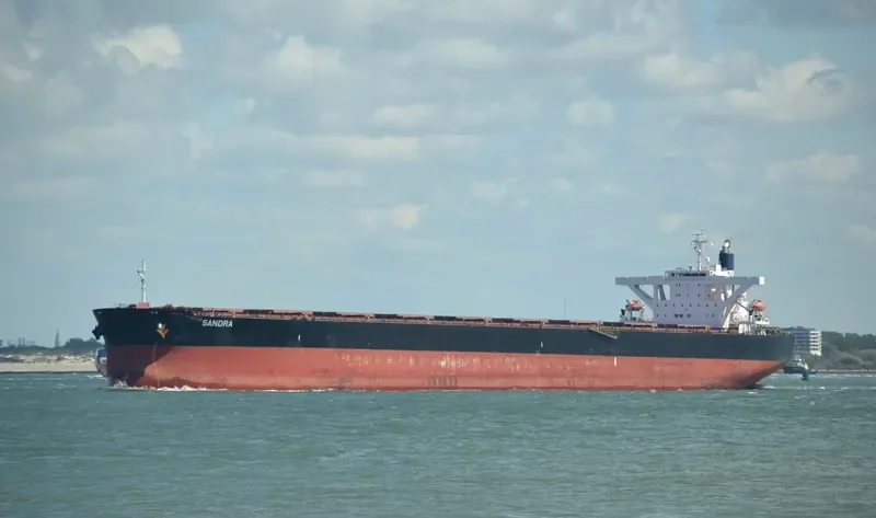STAR PAULINE Bulk Carrier IMO 9479890 photo 9