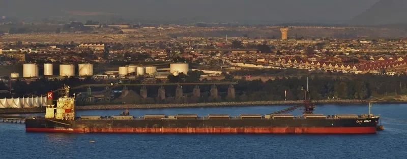 CAPE VIOLET Bulk Carrier IMO 9479905 photo 2