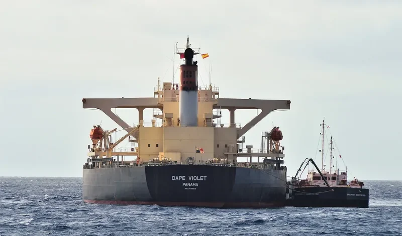 CAPE VIOLET Bulk Carrier IMO 9479905 photo 3