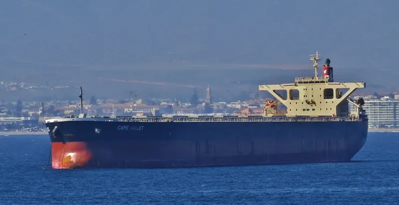 CAPE VIOLET Bulk Carrier IMO 9479905 photo 6