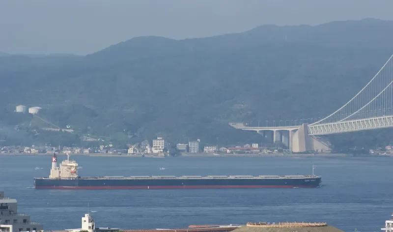 CAPE VIOLET Bulk Carrier IMO 9479905 photo 7