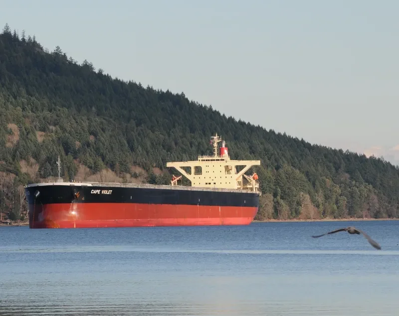 CAPE VIOLET Bulk Carrier IMO 9479905 photo 10