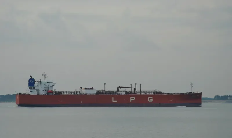 BW PINE General Cargo IMO 9479929 photo 2