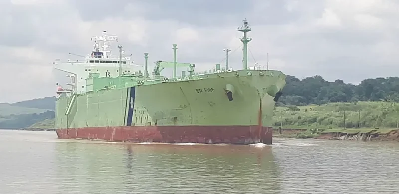 BW PINE General Cargo IMO 9479929 photo 8