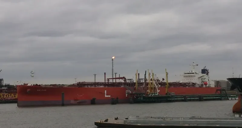 BW PINE General Cargo IMO 9479929 photo 9