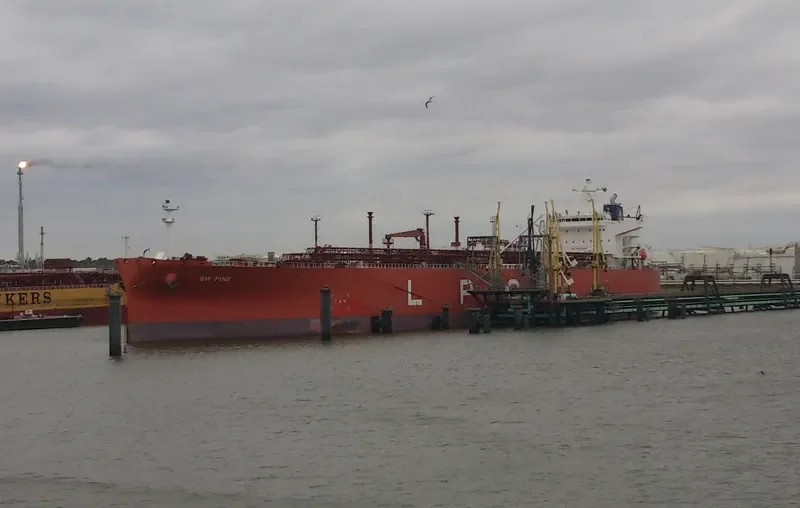 BW PINE General Cargo IMO 9479929 photo 10