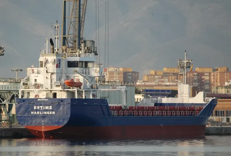 HAGLAND CARRIER General Cargo IMO 9479931 photo 10