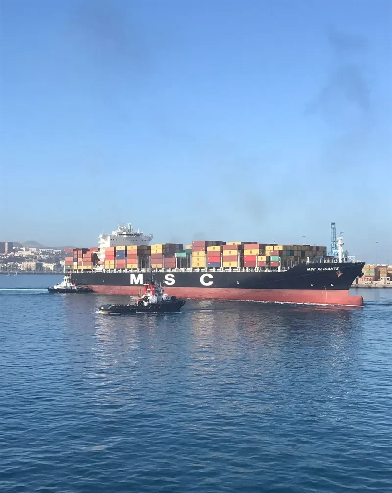 MSC ALICANTE Container Ship IMO 9480174